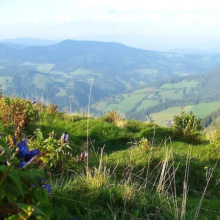 Unterberger 3* Sankt Kathrein am Offenegg
