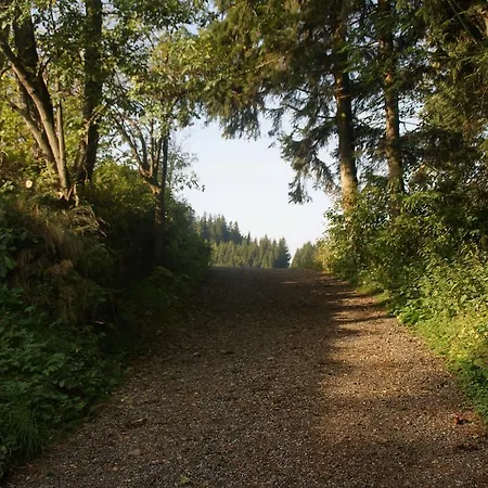 Unterberger Sankt Kathrein am Offenegg